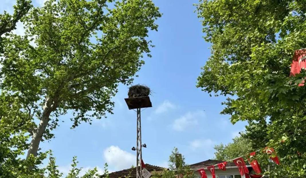 Sadık leylek, 20 yıldır o kentteki aynı elektrik direğine gelip yuva yapıyor! Mahalleli, leyleğe isim bile vermiş 7